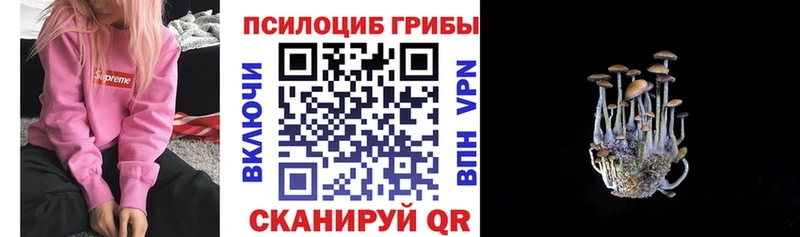 где можно купить mega зеркало Галлюциногенные грибы GOLDEN TEACHER Чекалин