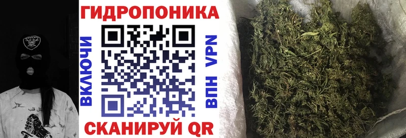 Канабис OG Kush  blacksprut вход  сайты даркнета телеграм  Чекалин 